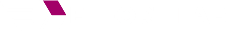 Effort Lab